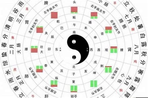 五行算|生辰八字算命、五行喜用神查询（免费测算）